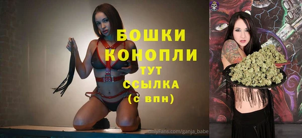 спайс Дмитриев