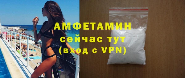 spice Ельня