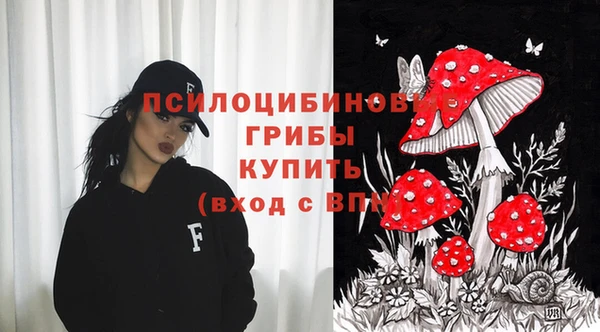 спайс Дмитриев