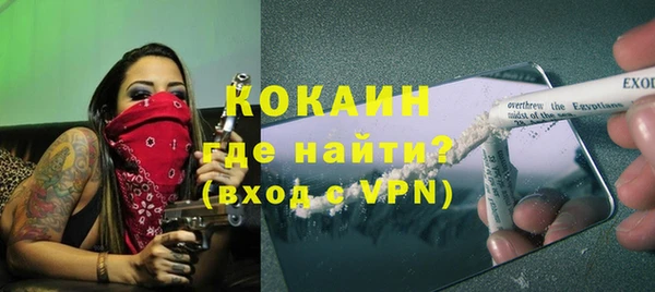 прущие грибы Елабуга