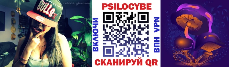 Купить закладки  Кисловодск  Псилоцибиновые грибы Psilocybe 